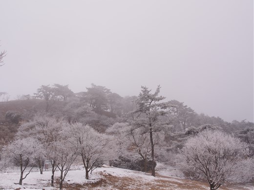 大野アルプスランド その後　～ 雪の大野山ハイキング ～