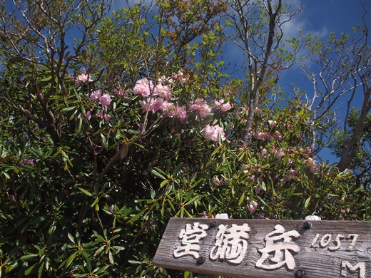 ４menｓ stand on KITAHIRA　～ 比良山系キャンプハイク ～