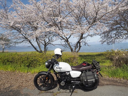 乗り換えました & 湖西の桜お花見　～ 六矢ヶ崎浜キャンプ場まで慣らし乗り ♪ ～