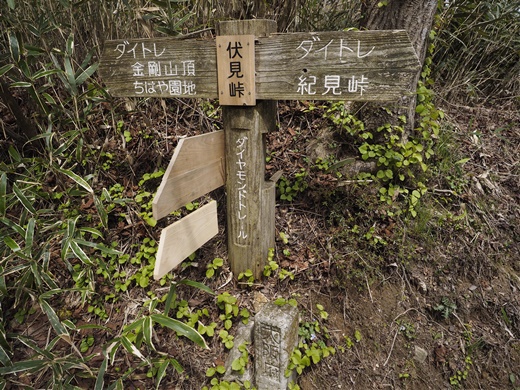 お泊りハイキングだよ　～ 金剛山、ひいこら登ってキャンプするぅ ～
