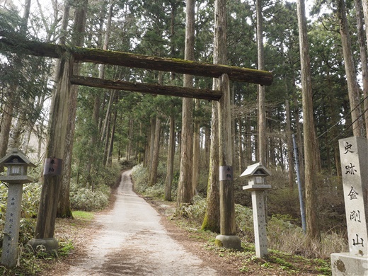 お泊りハイキングだよ　～ 金剛山、ひいこら登ってキャンプするぅ ～