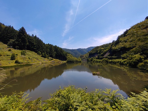 アチチな夏の活動報告　～ 暑い中でもちょこちょこお出かけしていたんですよ ～