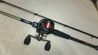 New Rod