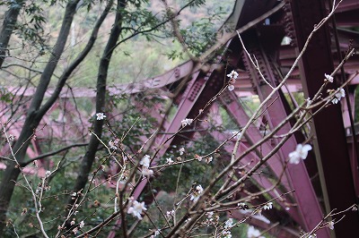 北陸　温泉グルメの旅③