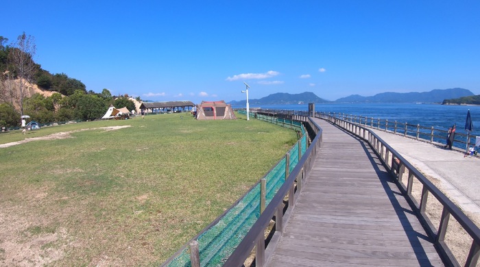 ウサギの島（大久野島）に行ってきた！