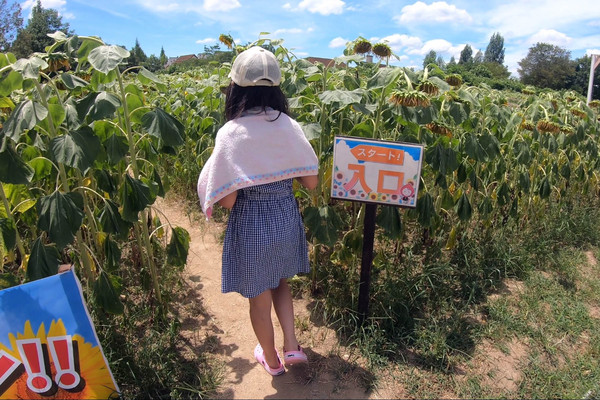 2019年夏休みキャンプは岡山県の吉井竜天オートキャンプ場でした！