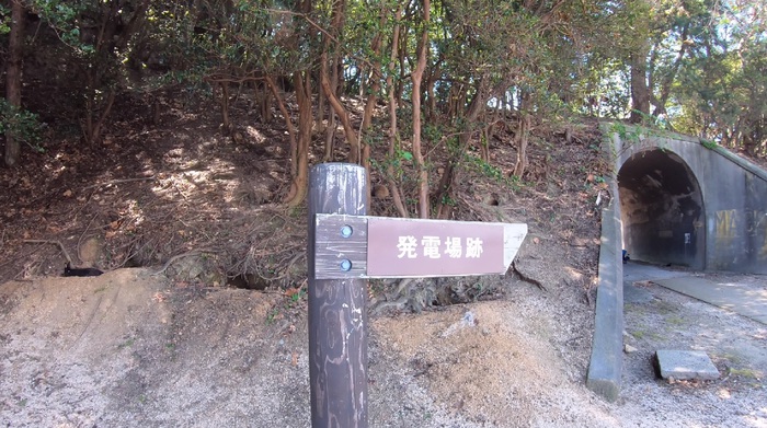 ウサギの島（大久野島）に行ってきた！