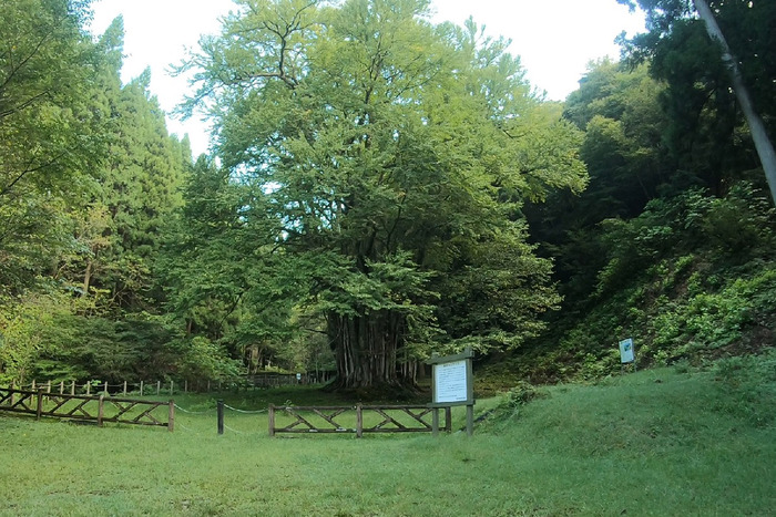 東から西へ床尾山縦走