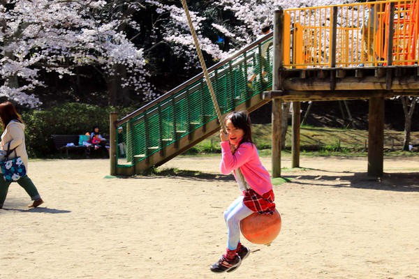 お花見　in 明石公園♪