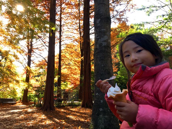 神戸市立森林植物園で最後の紅葉を楽しむ～♪