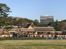東京見物　メインは皇居「大嘗宮」・・そして九州へ