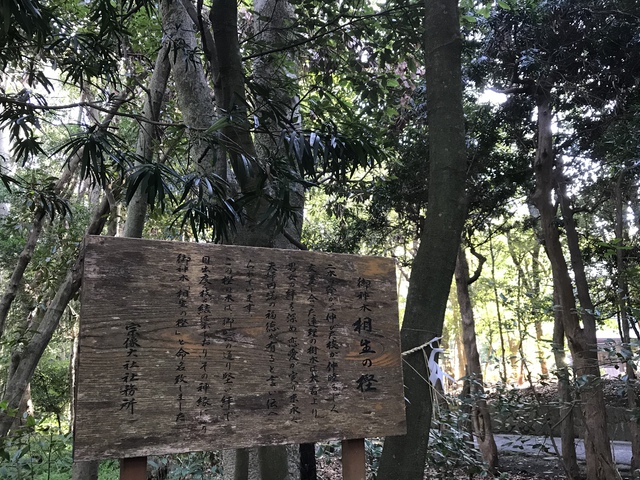 最終日は～宮地嶽神社、宗像大社・・でした