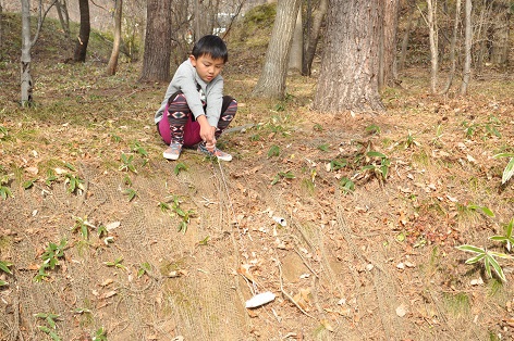 BIRTHDAY CAMP  in フォレストパークあだたら