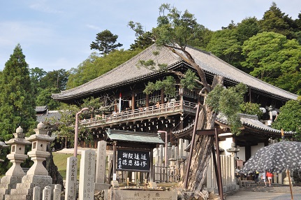 奈良 和歌山 車中泊の旅　　　　　①