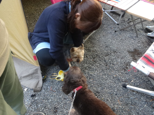 GO TO YMB opening~山伏オートキャンプ場2014