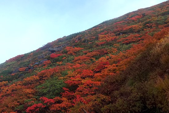 紅葉と綺麗な稜線の月山♪