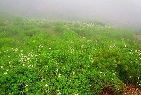 北アルプスを歩こう♪　三俣山荘～双六小屋♪