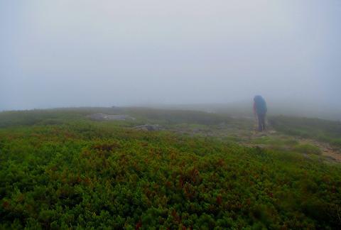 北アルプスを歩こう♪　三俣山荘～双六小屋♪