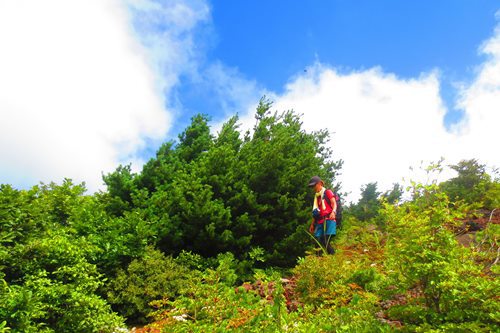 二転三転で磐梯山(･∀･)