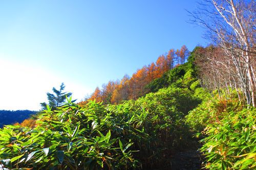 初めての中央アルプス♪　秋晴れの恵那山♪