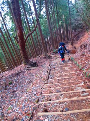 今年も塔ノ岳と丹沢山で♪