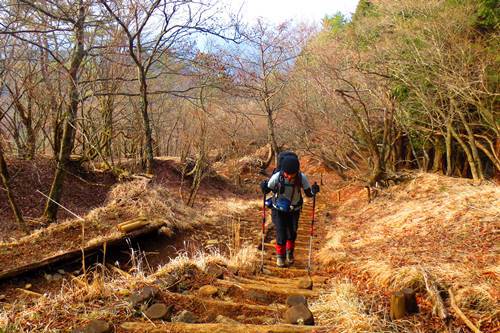 今年も塔ノ岳と丹沢山で♪