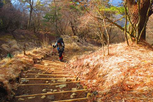 今年も塔ノ岳と丹沢山で♪
