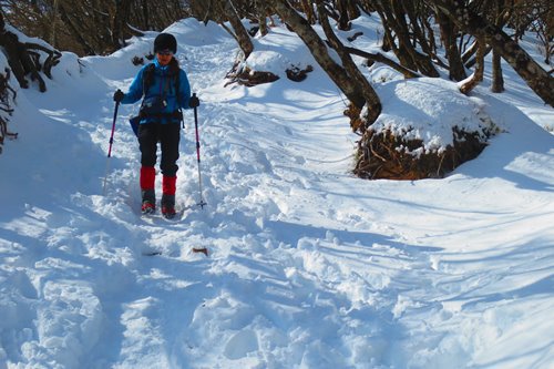 今年も塔ノ岳と丹沢山で♪