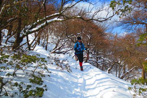 今年も塔ノ岳と丹沢山で♪