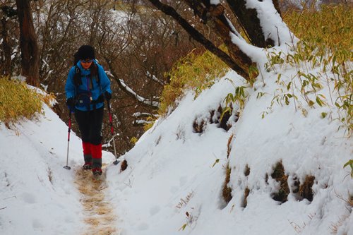 今年も塔ノ岳と丹沢山で♪