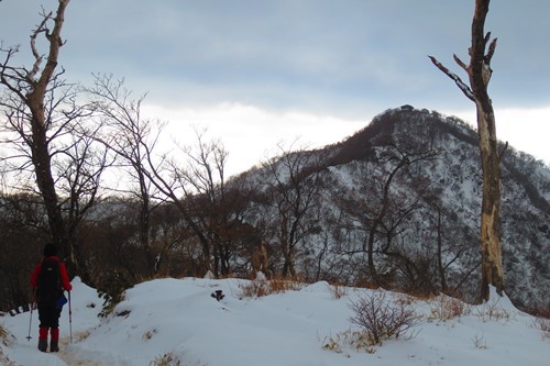 今年も塔ノ岳と丹沢山で♪