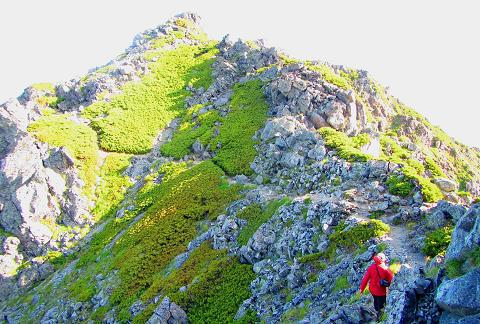 夏休み北アルプス縦走⑤　～鷲羽岳、水晶岳