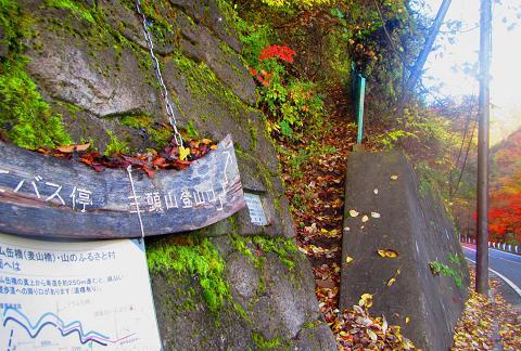 浮橋渡って三頭山♪