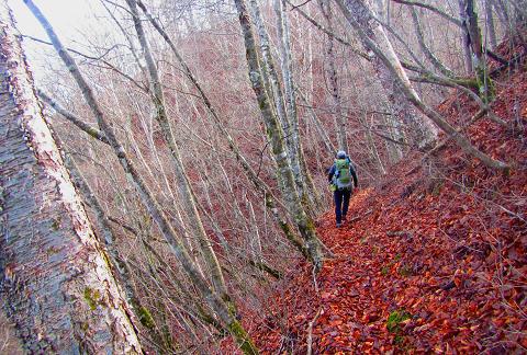 浮橋渡って三頭山♪