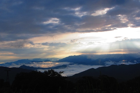 お花と高層湿原♪　苗場山♪