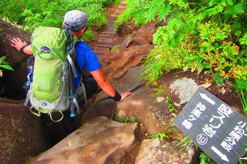 お花と高層湿原♪　苗場山♪