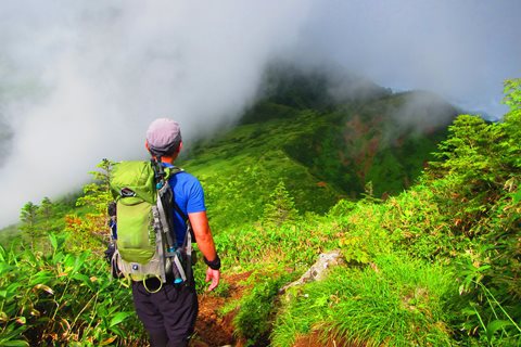 お花と高層湿原♪　苗場山♪