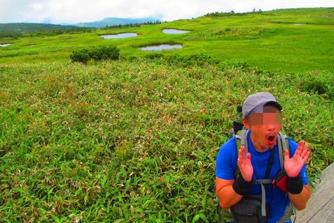 お花と高層湿原♪　苗場山♪