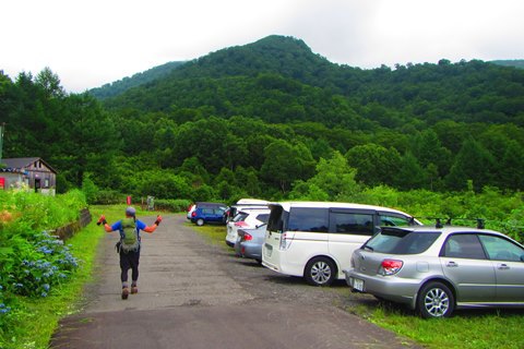 お花と高層湿原♪　苗場山♪