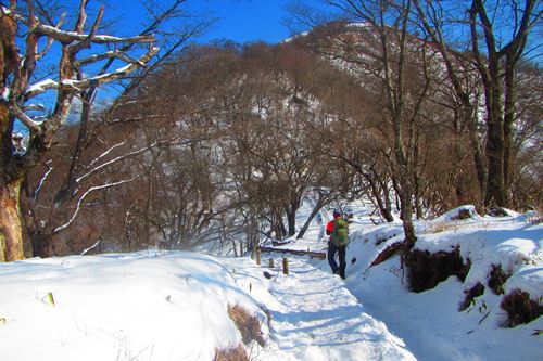 今年も塔ノ岳と丹沢山で♪