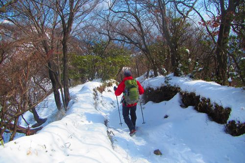 今年も塔ノ岳と丹沢山で♪