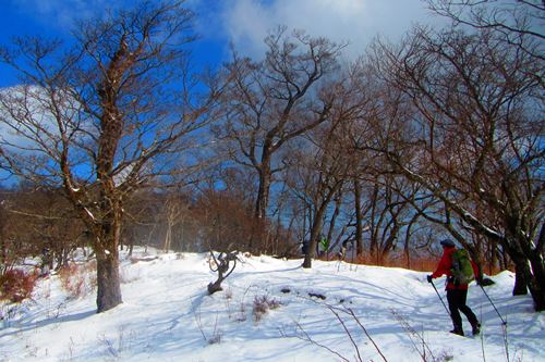 今年も塔ノ岳と丹沢山で♪