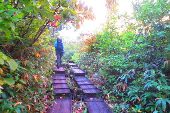 紅葉と綺麗な稜線の月山♪
