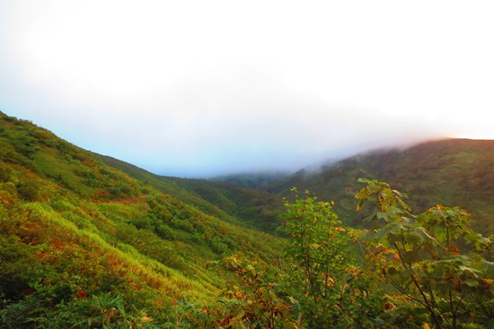 紅葉と綺麗な稜線の月山♪