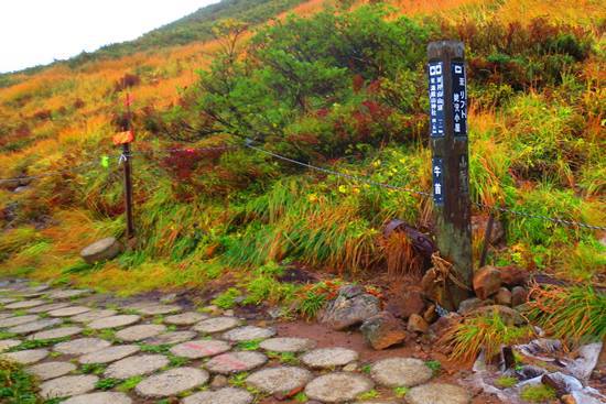 紅葉と綺麗な稜線の月山♪
