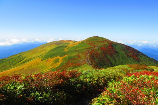 紅葉と綺麗な稜線の月山♪