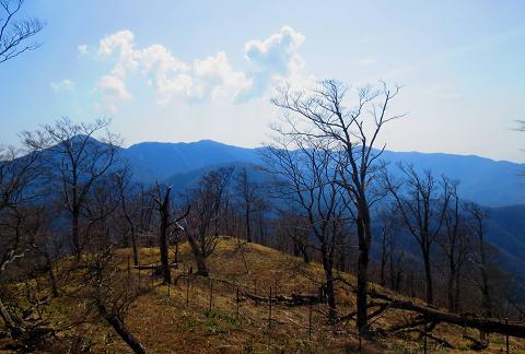 復習しよう♪　檜洞丸と石棚山と頭達♪