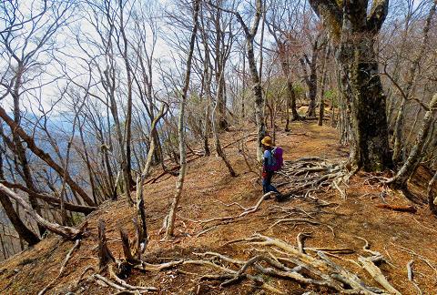 復習しよう♪　檜洞丸と石棚山と頭達♪