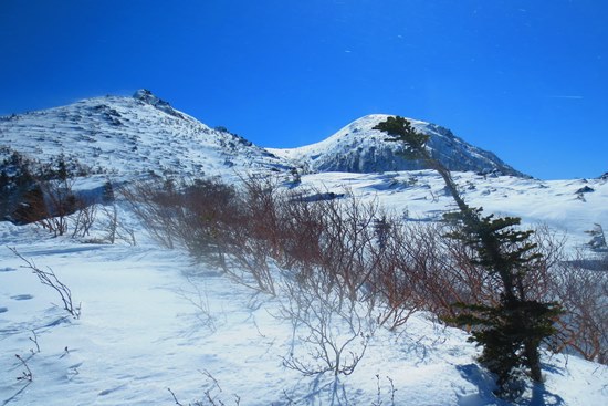 黒百合ヒュッテ泊で天狗岳と中山♪　その２