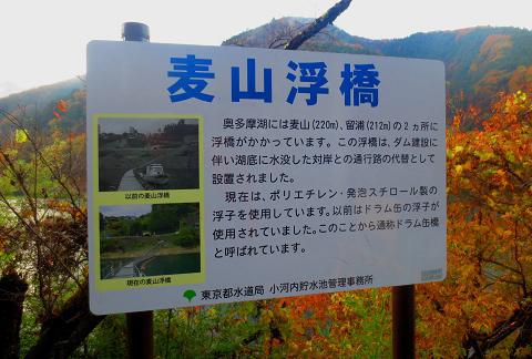 浮橋渡って三頭山♪